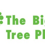 The Big Tree Plant